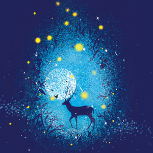 Japanese六十路息子
